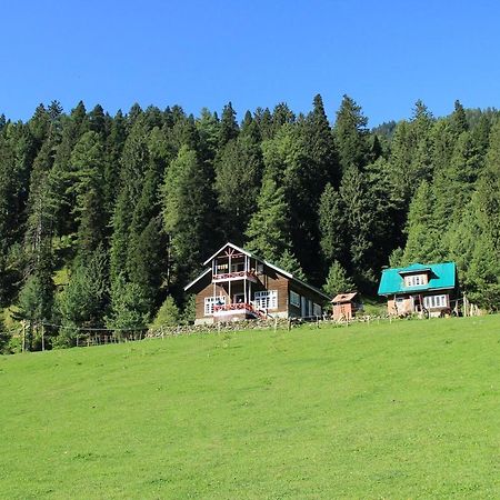 Hotel Peaceful Mornings Srinagar المظهر الخارجي الصورة
